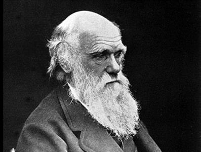 Charles Darwin (1809-1882), autor de A Origem das Espécies, consagrou a teoria que é estudada cientificamente em todo o mundo. O criacionismo é típico de religiões e não pode ser imposto no ensino público.