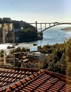 Maria Lúcia Verdi: "Da janela do Museu Romântico da Quinta da Maceirinha, no Porto, vejo o telhado da casa, o rio Douro, a ponte Arrábida e a luz do dia, luz que é tema central da ciência e da pintura"