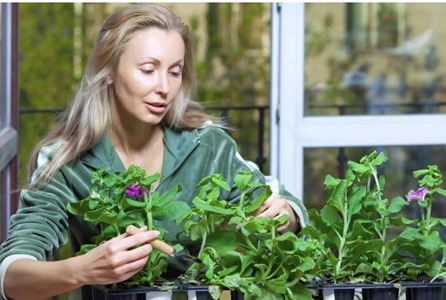 Conversar com as plantas é absolutamente normal. Mas não aceite malcriações!