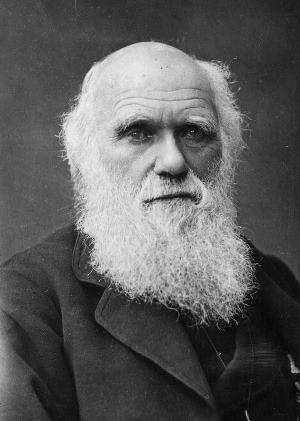 Robert, pai de Charles Darwin (foto), queria o filho pastor. Mas o filho, desobediente, comeu da árvore do conhecimento para desvendar os mistérios da árvore da vida!