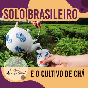Na primeira semana de dezembro Brasília vai ser a sede do Festival Internacional do Chá, a segunda bebida mais consumida no mundo, depois da água.